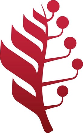 Red Fern Icon_RGB_F - 50 Red Fern Icon_RGB_F - 50